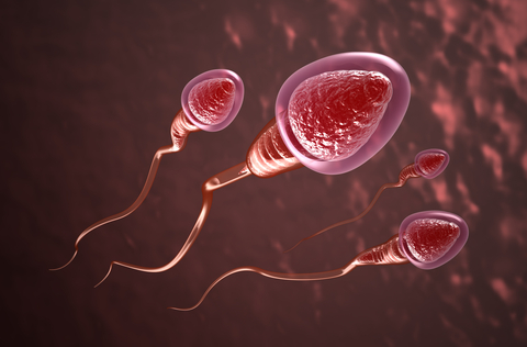 Surgical Sperm Retrieval india Surgical Sperm Retrieval india