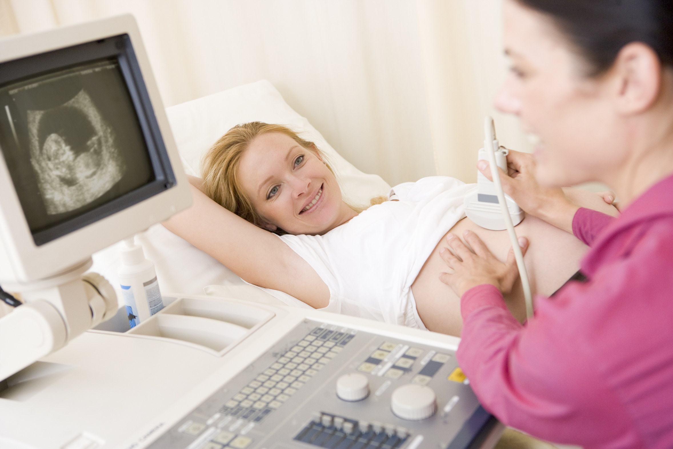 Surrogacy Expert Russia