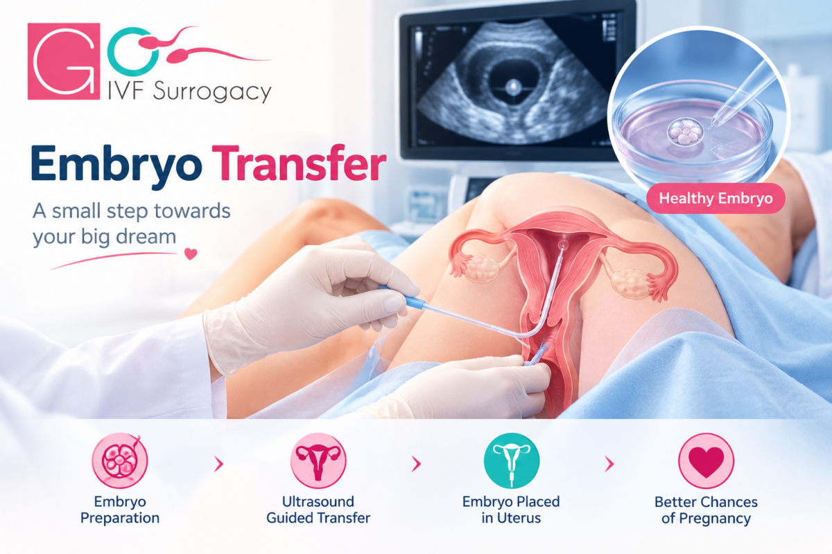 Embryo-Transfer-in-India-1200x800.png