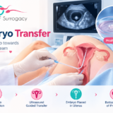 Embryo Transfer in India