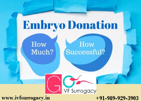 Embryo-Donation.jpg