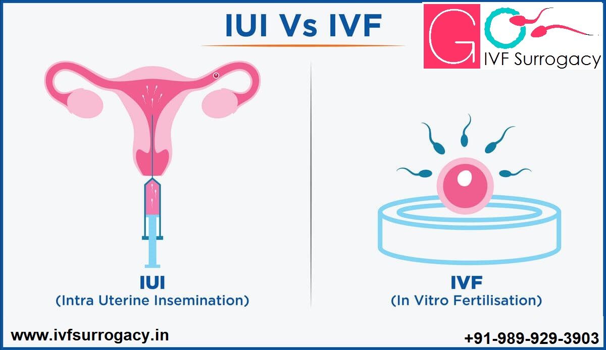 difference-between-iui-and-ivf-treatment-1200x694.jpg