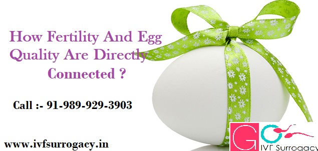 How-Fertility-And-Egg-Quality-Are-Directly-Connected.jpg