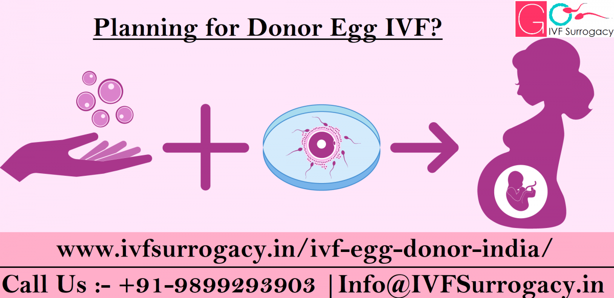 Donor-egg-IVF-india-1200x583.png