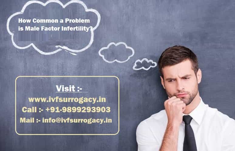 How-Common-a-Problem-is-Male-Factor-Infertility-min-1.jpg