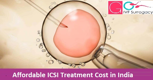 Affordable-ICSI-Treatment-Cost-in-India.jpg