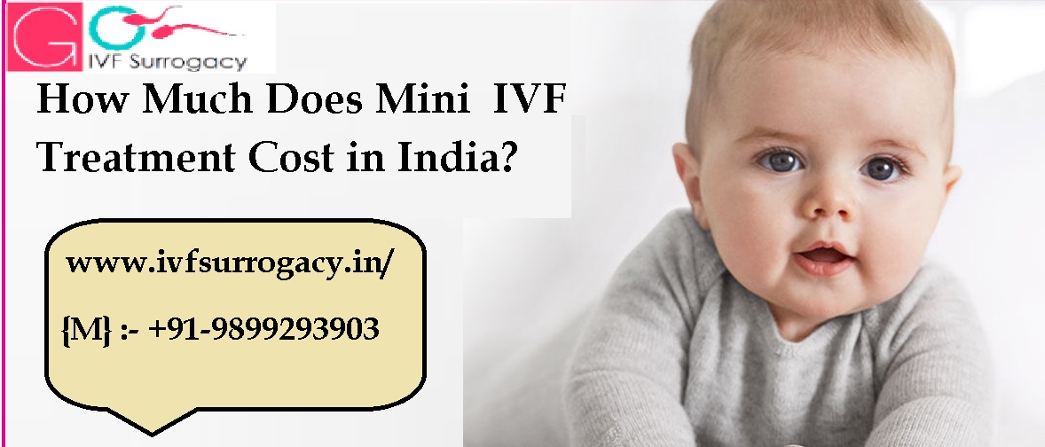 Mini-IVF-Treatment.jpg