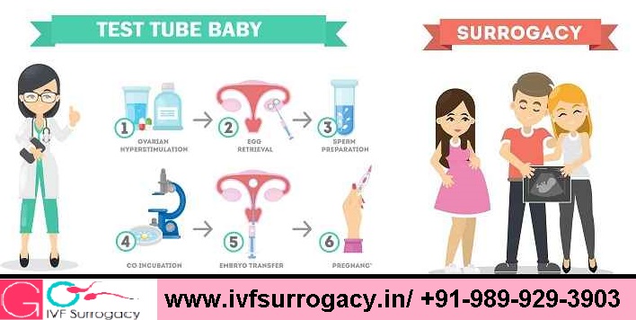 Test-tube-baby-and-Surrogacy-Understanding-the-difference.jpg