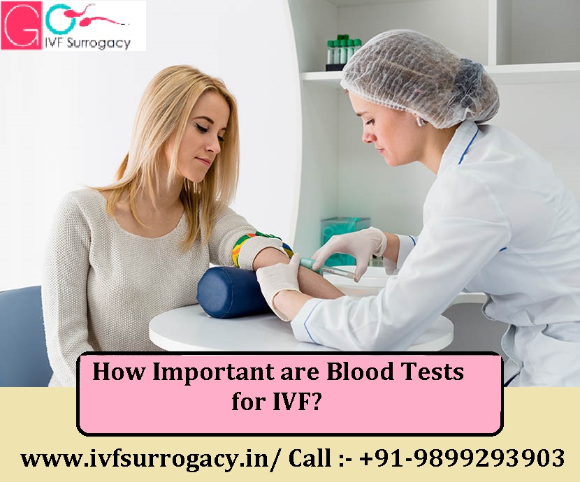 How-important-are-blood-tests-for-IVF.jpg