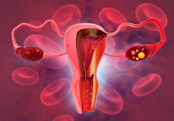 The Future of AI in Menstruation