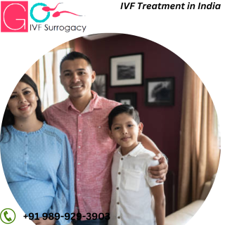  IVF Treatment in India 