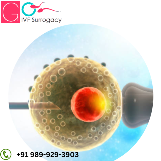 IVF PGD Clinic in Thailand