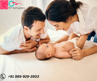 Surrogacy Expert in Europe
