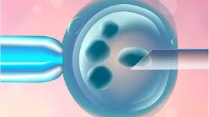 IVF PGD Cost Thailand 