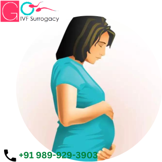 Surrogacy Expert in Cambodia 