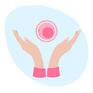 Egg Donor Congo