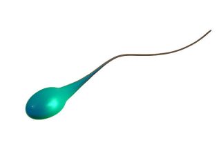Egg Donor Congo