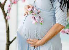  Surrogacy Expert in Laos