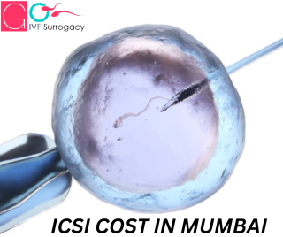 ICSI Treatment Cost in Mumbai