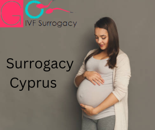 Surrogacy Service in Cyprus