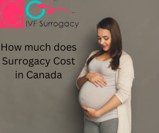 Surrogacy Cost in Canada