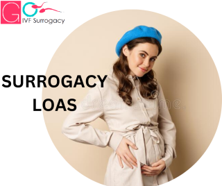  Surrogacy Laos 