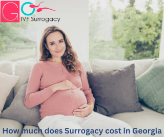 Surrogacy cost in Georgia