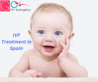  IVF Treatment in Spain 