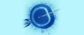 ICSI Treatment in Hyderabad