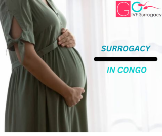 surrogacy Congo