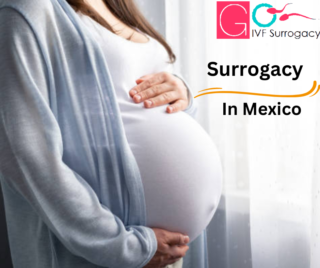 Surrogacy in Mexico