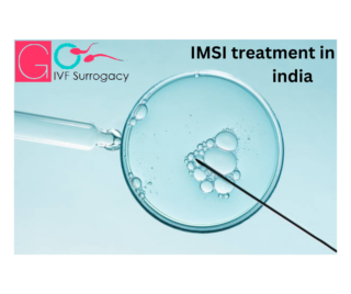 IMSI treatment in india