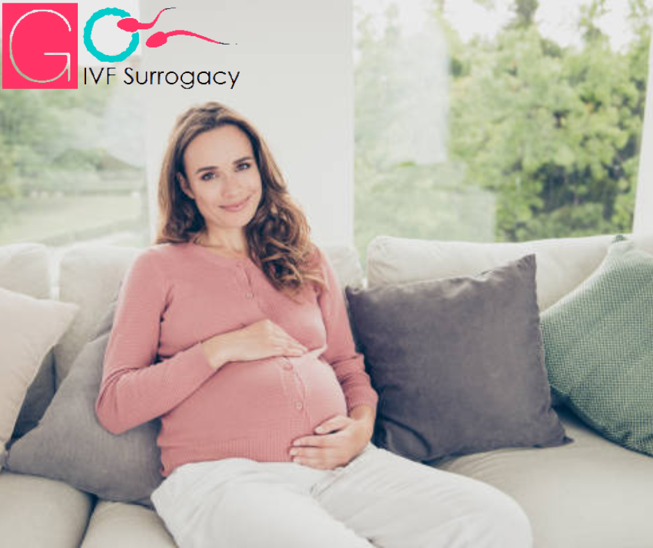 surrogacy cost in Goa