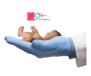 ivf cost in siliguri