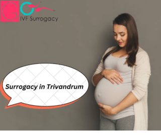 Surrogacy in Trivandrum