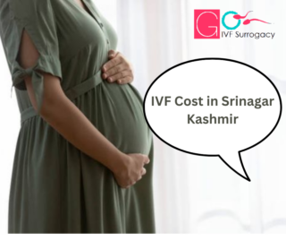 IVF Cost in Srinagar
