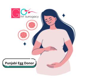 Punjabi Egg Donor