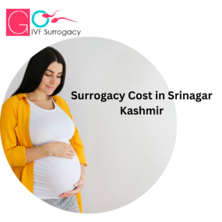 Surrogacy Cost in Srinagar