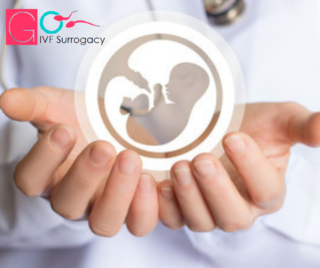 IVF cost in Ahmedabad Gujarat
