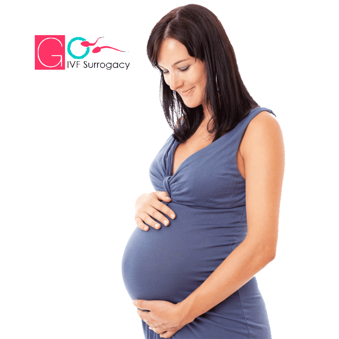 Surrogacy in Lucknow Surrogacy in Lucknow