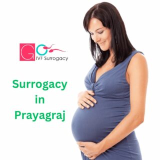 Surrogacy in Prayagraj