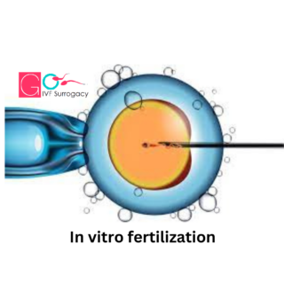 Best IVF centre in Prayagraj