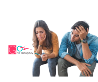 IVF cost in nagpur