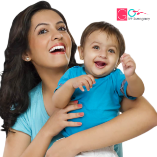 best ivf doctor in india