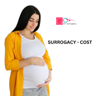 surrogacy cost in Jalandhar Punjab