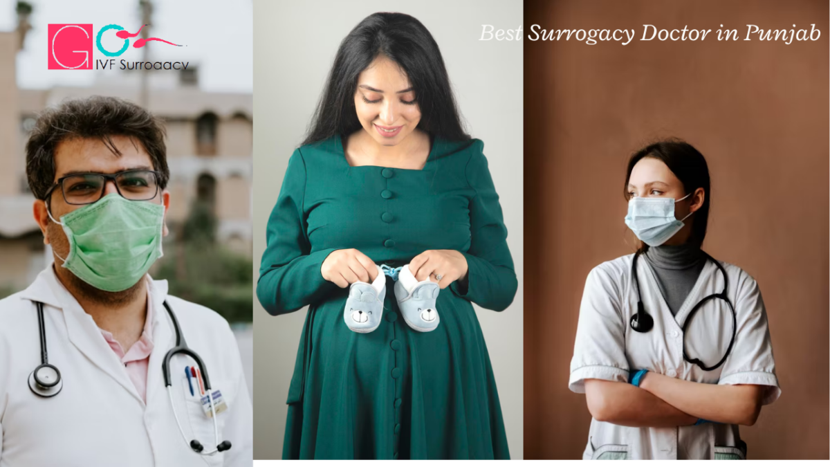 Best-Surrogacy-Doctor-in-Punjab-1200x675.png