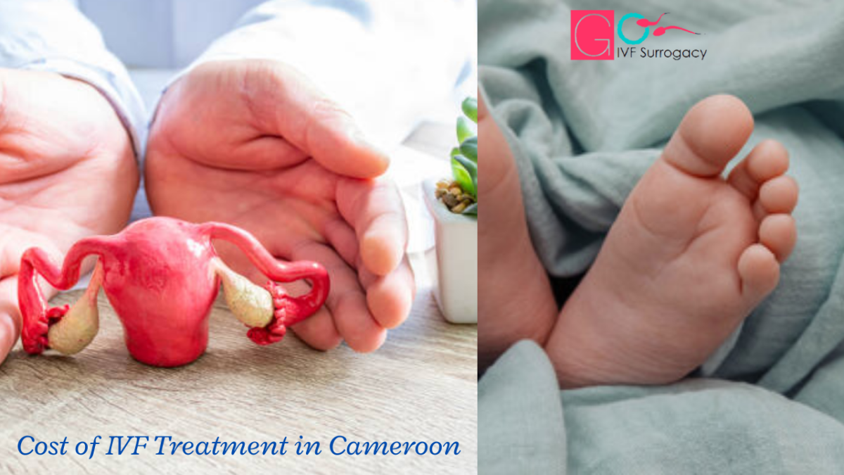 Cost-of-IVF-Treatment-in-Cameroon-1200x675.png