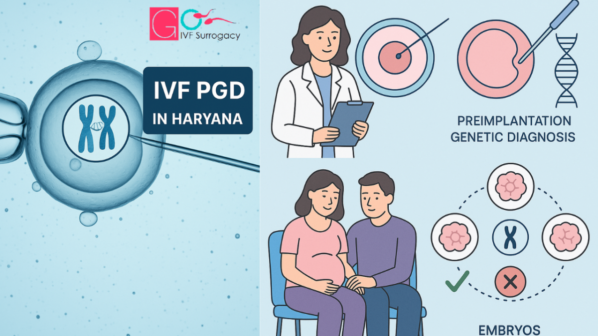 IVF-PGD-Haryana-1200x675.png