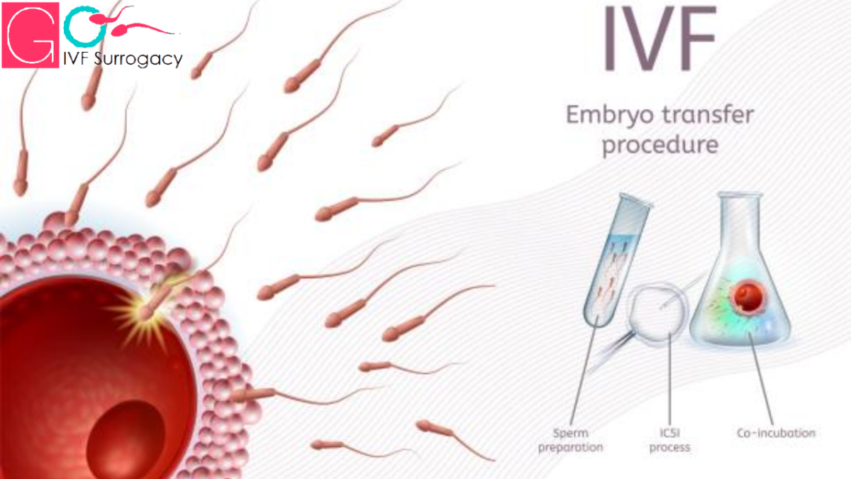 How-many-embryo-transfers-are-allowed-1200x675.png