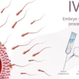 How many embryo transfers are allowed